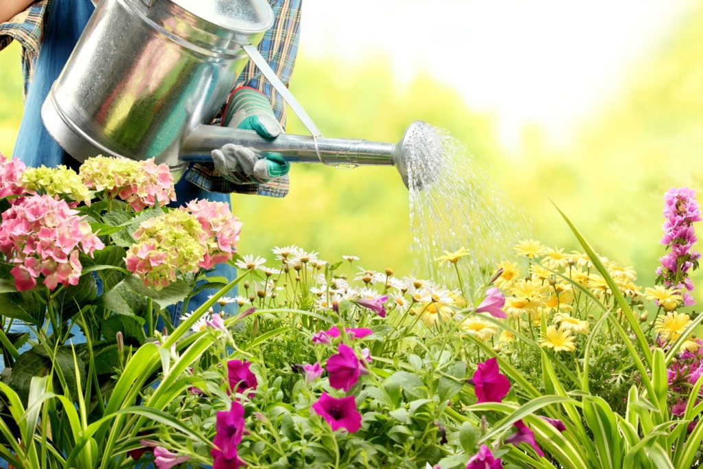 Idei pentru economisirea apei în grădină