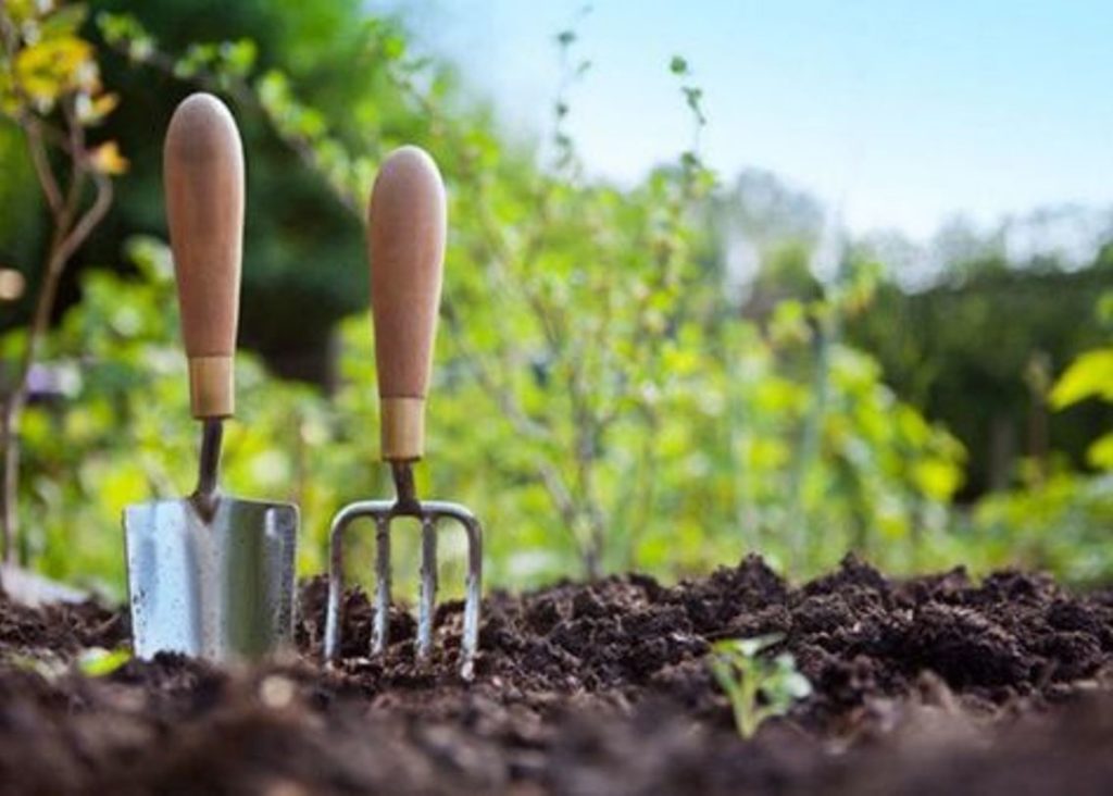 Grădină organică – idei de amenajare