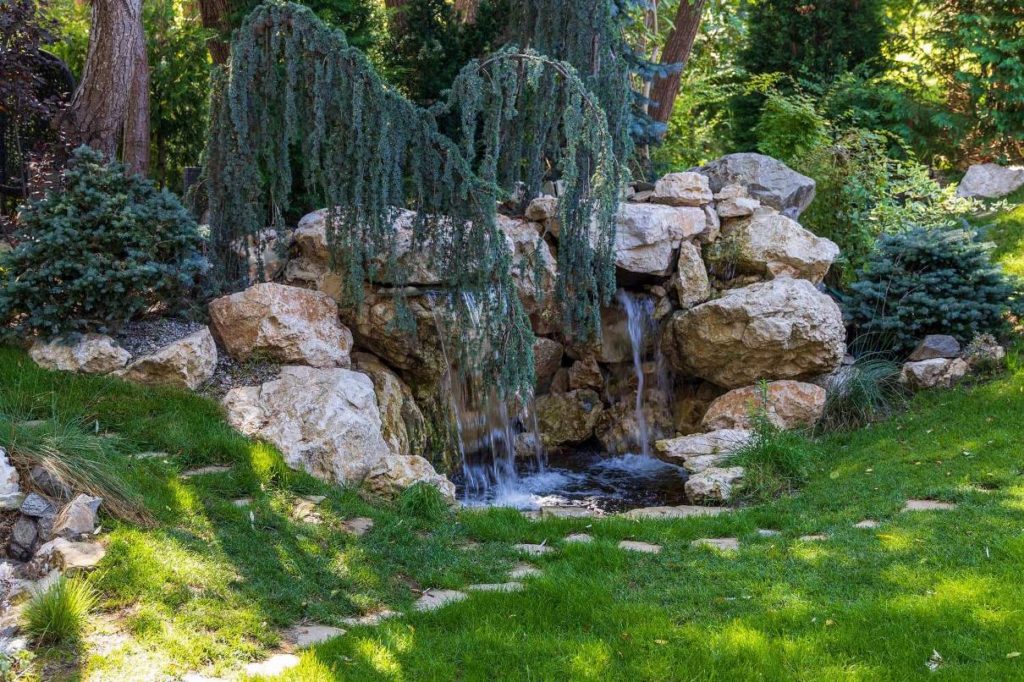 Medalion Virgil Isăcescu – Apa, un must al grădinii moderne