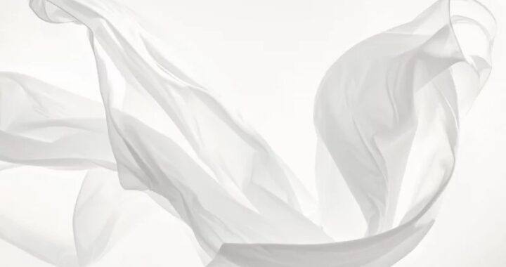 Albul impunător, Institutul Pantone a decis culoarea anului 2026